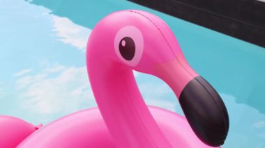 Flamingo şeklinde pembe şişme çocuklar gölette masmavi suyla yüzüyorlar. Tatil tam gaz devam ediyor. - Evet. Yüksek kalite 4k görüntü