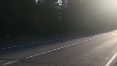  Günbatımında kırsal bir yol. Orman doğası asfaltı. Yüksek kalite 4k görüntü