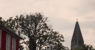 Reykjavik 'teki Hallgrimskirkja kilisesi, ağaçların güzel manzarası. Yüksek kalite 4k görüntü