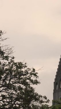 Reykjavik 'teki Hallgrimskirkja kilisesi, ağaçların güzel manzarası. Yüksek kalite 4k görüntü