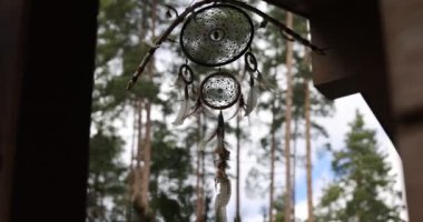 Ormanda rüzgarda dans eden düş kapanı. Hint muskası rüya kapanı bahar ormanı arka planında rüzgarda sallanıyor. Fotokopi alanı olan 4K görüntü. Yüksek kalite 4k görüntü