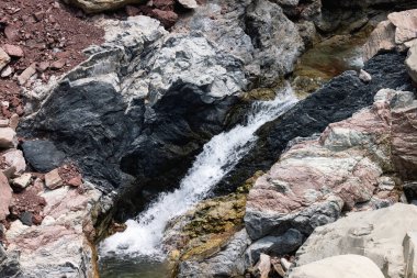 Dağdaki küçük ve hızlı bir dereden taze serin su ıslak kayalıklar arasında akar ve eski bir ağaç kütüğünün altından akar, koyu ladin ve yaprak döken bir ormanda. Yüksek kalite fotoğraf
