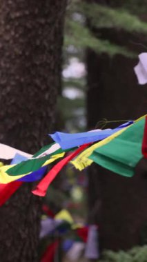 Akciğer ta dua bayrakları dağ yolunda asılı renkli Tibet dua bayrakları dingin rüzgar şehrine dingin ruhsal enerjinin huzur sembolü olan eski duaları dalgalanıyor. Yüksek kalite 4k görüntü
