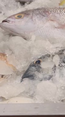 Pazardaki okyanus suyunun üzerindeki buzda bir sürü taze balık var Pomfret uskumrusu Sardalya Balığı Kahini Balık Ançüezli Barakuda Snapper Grouper Trevally. Yüksek kalite 4k görüntü
