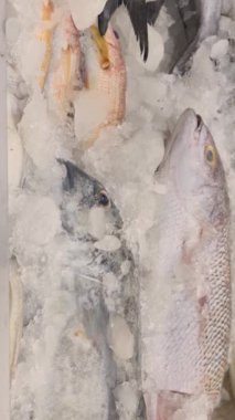 Pazardaki okyanus suyunun üzerindeki buzda bir sürü taze balık var Pomfret uskumrusu Sardalya Balığı Kahini Balık Ançüezli Barakuda Snapper Grouper Trevally. Yüksek kalite 4k görüntü