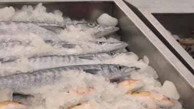 Pazardaki okyanus suyunun üzerindeki buzda bir sürü taze balık var Pomfret uskumrusu Sardalya Balığı Kahini Balık Ançüezli Barakuda Snapper Grouper Trevally. Yüksek kalite 4k görüntü