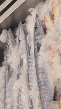 Pazardaki okyanus suyunun üzerindeki buzda bir sürü taze balık var Pomfret uskumrusu Sardalya Balığı Kahini Balık Ançüezli Barakuda Snapper Grouper Trevally. Yüksek kalite 4k görüntü