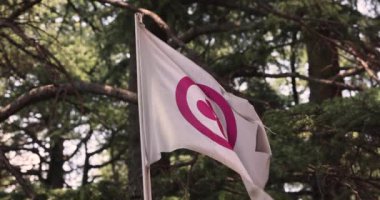 Roerich Flag, Yakından Bakış Kullu sanatçısı. Yüksek kalite 4k görüntü