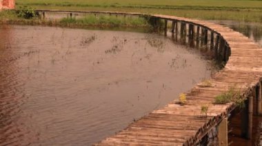 Asya 'da su dolu bir pirinç tarlasının üzerindeki su dolu rA ahşap köprünün üzerinde tahta bir köprü. Yüksek kalite 4k görüntü