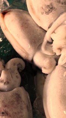 Deniz pazarının tezgahında çok sayıda taze mürekkep balığı var. Deniz ürünleri pazarı. Tezgahta büyük bir balık, mürekkep balığı, yengeç ve karides koleksiyonu var. Yüksek kalite 4k görüntü