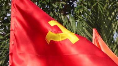 Rüzgarda dalgalanan bayrak direkli Vietnam bayrağı. Yüksek kalite 4k görüntü