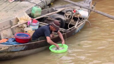 Hoi An, Vietnam, 28 Ekim 2024: Yerel bir balıkçı Hoi An, Vietnam civarında balık yakalıyor. Yüksek kalite 4k görüntü