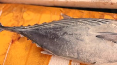 Yerel markette taze yakalanmış ton balığı. Yüksek kalite 4k görüntü