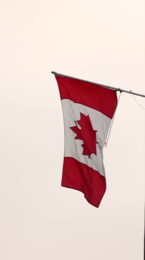 Kanadalı bayrağın gökyüzüne doğru dalgalanan yavaş çekim görüntüsü. Kanada ulusal günü. Yüksek kalite 4k görüntü