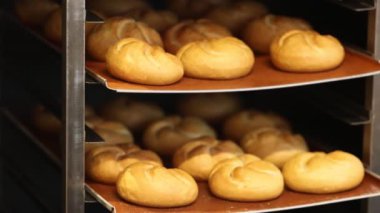 Ekmek ve rulo fırından fırın fabrikasında bir fırın tabağı üzerinde çıkıyor. Yüksek kalite 4k görüntü