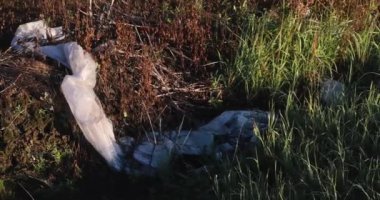 Biyo-çözünebilir polietilen poşet toprağı kirletir. Çevreyi koru. Yüksek kalite 4k görüntü