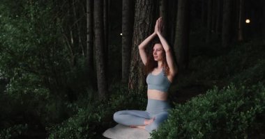 Kadın meditasyonu, yoga meditasyonu. Yogi kızı nilüfer çiçeği pozunda oturuyor, sağlıklı yaşam tarzı, meditasyon konsepti. Yüksek kalite 8K görüntü