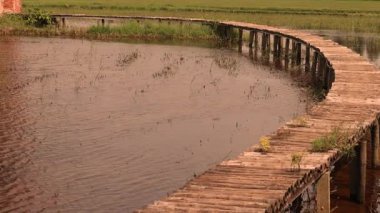 Asya 'da su dolu bir pirinç tarlasının üzerindeki su dolu rA ahşap köprünün üzerinde tahta bir köprü. Yüksek kalite 4k görüntü