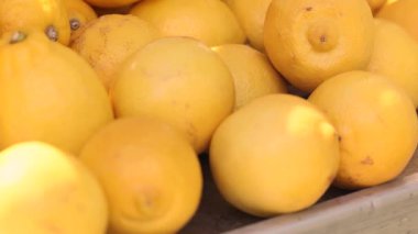 Sokak gıda pazarının narenciye arka planında taze limonlar. Yüksek kalite 4k görüntü