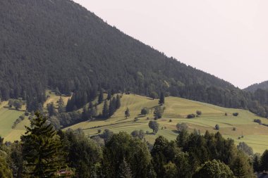 Alp dağlarının dağ manzarası yazın fotoğraflandı. Yüksek kalite fotoğraf
