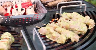  Izgara tavuk kebabı. Sokak yemekleri ve ızgarada lezzetli bir yemek pişirmek. Yüksek kalite 4k görüntü