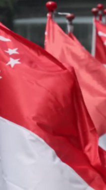 Singapur 'un ulusal bayrakları güneşli bir günde rüzgarda dalgalanıyor. Yüksek kalite 4k görüntü