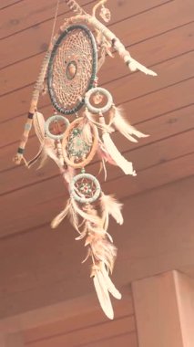  Ormanda rüzgarda dans eden düş kapanı. Hint muskası düş kapanı rüzgarda sallanıyor. Yüksek kalite 4k görüntü