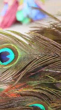 Tavus kuşu tüylerinin yakın çekim görüntüsü. Yüksek kalite 4k görüntü