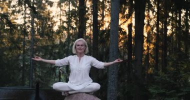 Kadın Yoga - doğada rahatla. Yüksek kalite fotoğraf