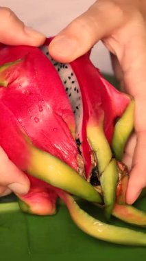 Elleri soyuluyor ve canlı ejderha meyveleri sergiliyor. Yüksek kalite 4k görüntü