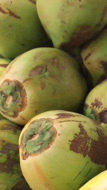 Meyve tezgahında taze hindistan cevizleri satılıyor. Taze hindistan cevizi sütü yapmak için satıldılar. Yüksek kalite 4k görüntü