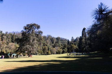 Ooty, Tamilnadu, Hindistan-30 Nisan 2022: Ooty, Tamilnadu, Hindistan 'daki güzel devlet botanik bahçeleri. 1000 'den fazla türün yuvası. Yüksek kalite fotoğraf