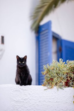 Yunanistan 'ın mavi şehir meydanında. Yüksek kalite fotoğraf