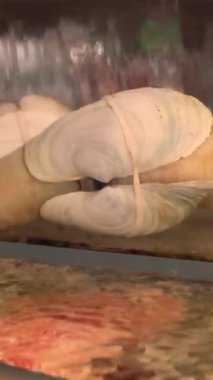 Restoranların akvaryumunda yemek pişirmek için canlı deniz ürünleri. Suşi, salata, kızarmış geoduck, kase ve Çin usulü gibi Asya yemekleri. Yüksek kalite 4k görüntü