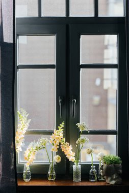 Pencere ve pencere pervazı güneş ışığıyla süslenmiş. Pencerenin siyah bir çerçevesi var. Yüksek kalite fotoğraf