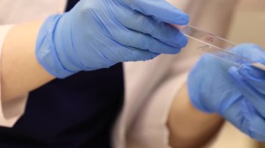 Lastik eldivenli yüksek lisans araştırmacıları laboratuarda elektron mikroskobu altında analiz için biyomateryal içeren bir örnek slaytı inceliyorlar. Yüksek kalite 4k görüntü