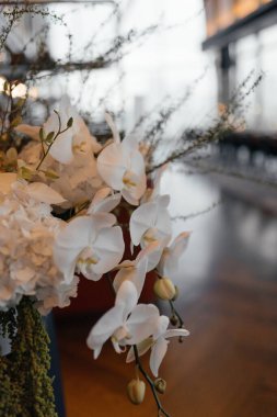 Sofistike bir kutlamada olay dekoru olarak kullanılan beyaz orkidelerin zarif çiçek düzenlemeleri. Lüks ve minimalist kompozisyon üst düzey bir etkinlik ya da resmi bir toplantı için. Yüksek kalite fotoğraf