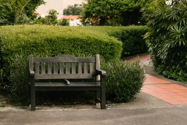 Yeşil bir şehir parkına yerleştirilmiş basit bir ahşap bank. Etrafı taze çimenler ve yapraklı ağaçlarla çevrili. Kentsel peyzaj ve açık hava kamusal alan geliştirme örnekleri. Yüksek kalite fotoğraf