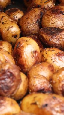 Kızarmış patatesler kase dönüşümlü yiyeceklerle kaplıdır. Yüksek kalite 4k görüntü