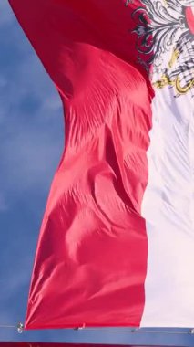  Avusturya bayrağı rüzgarda dalgalanıyor. Avusturya Ulusal Günü 26 Ekim 'de kutlanıyor. Yüksek kalite 4k görüntü