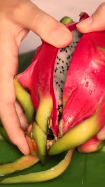 Şef mutfak tezgahında canlı ejderha meyveleri soyuyor. Yüksek kalite 4k görüntü