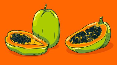 Papaya meyvesi seti, vektör illüstrasyonu tek çizgi çizimi, düz el çizimi çizimi, gölgesi ve ışığı olan renkli meyveler, renkli arka planda izole edilmiş..