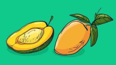 Mango meyvesi seti, vektör illüstrasyonu tek çizgi çizimi, düz el çizimi çizimi, gölgesi ve ışığı olan renkli meyveler, renkli arka planda izole edilmiş..