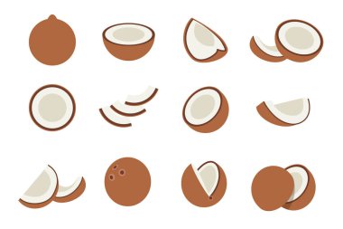 Kahverengi hindistan cevizi seti, marketler için taze hindistan cevizi ürünü amblemi, slaytlar, uzun ve çapraz kesitler, ve farklı pozisyonlar, sebze ve meyvelerin basit düz vektör çizimi.