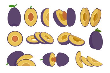 Mor erik seti, marketler için taze erik ürünü amblemi, slaytlar, uzun ve çapraz kesitler, ve farklı pozisyonlar, sebze ve meyvelerin basit düz vektör çizimi.