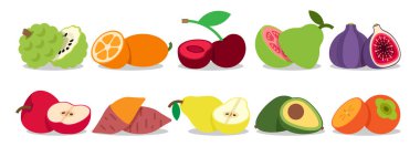 Split Fruits, Annona, Kumquat, Cherry, Guava, Fig, Apple, Sweet patates, Armut, Avokado, Persimmon, basit düz vektör çizimi.