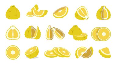 Sarı Ugli meyveleri, marketler için taze Jamaika tangelo amblemi, Slaytlar, uzun ve çapraz kesitler, ve farklı pozisyonlar, sebze ve meyve basit düz vektör çizimi