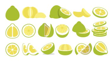 Limonlu Pomelo seti, marketler için taze Pomelo amblemi, Slaytlar, uzun ve çapraz kesitler, ve farklı pozisyonlar, sebze ve meyvelerin basit düz vektör çizimi.