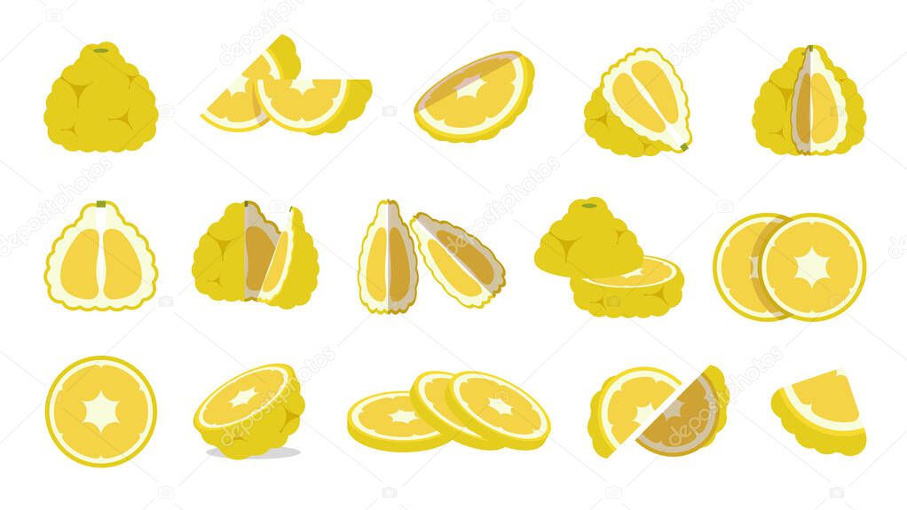Set of Yellow Ugli fruit, Farm fresh Jamaican tangelo product emblem for grocery shop, Slides, long and cross sections, and different positions, simple flat vector illustration of vegetables and fruit