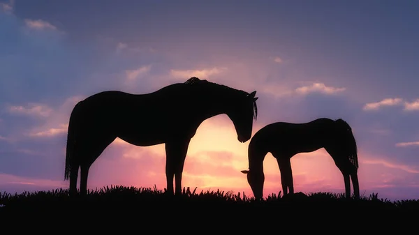 Silueta Dvou Koní Při Západu Slunce — Stock fotografie
